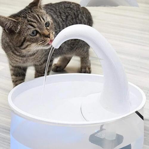 Pet Essentials