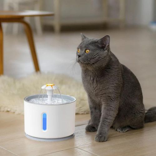 Clariom Automatic Cat Water Fountain – Petal Flow Design for Hydration